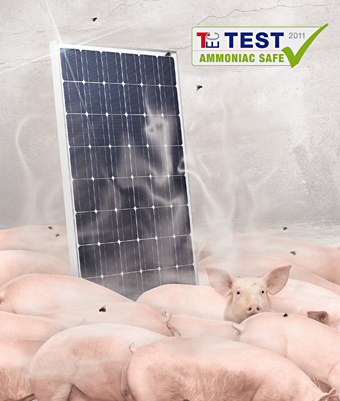 Ammonia test passed with flying colours – Even direct contact with animal vapours does not adversely affect ANTARIS SOLAR modules.